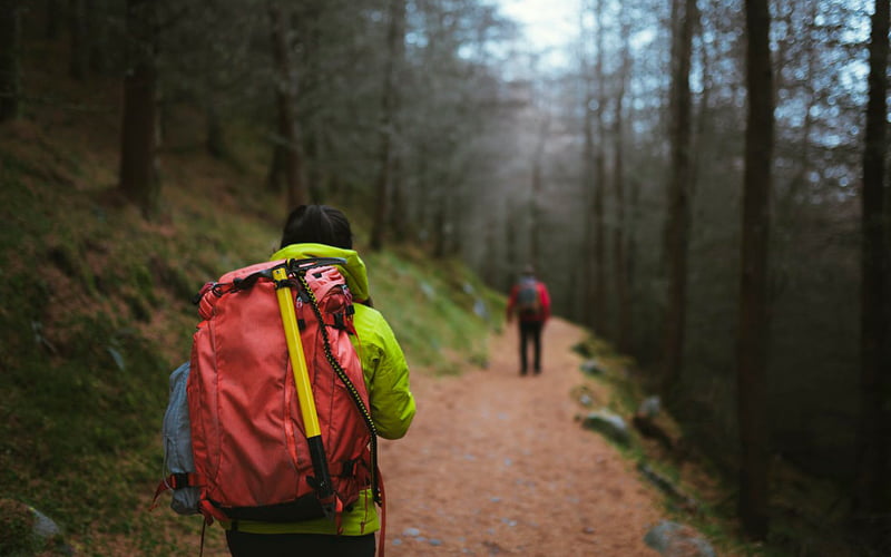 4 reasons why hiking is great for your mental health - Merdeka Center